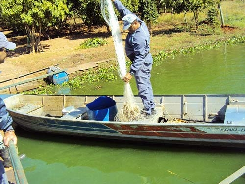 Homem é detido pela Polícia Ambiental com 30 kg de peixes na região