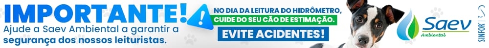 SAEV 4