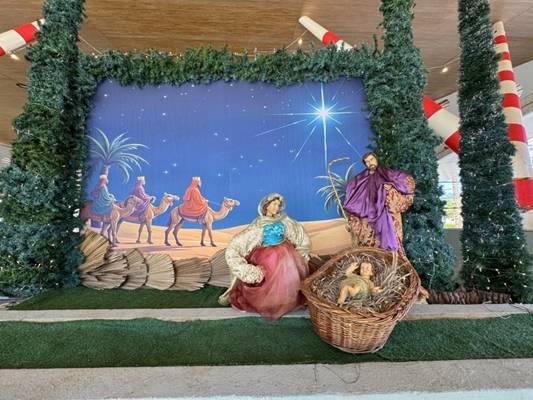 Votuporanga prepara Decoração do Natal Luz e Esperança