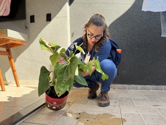 Votuporanga realiza mutirão contra a dengue no bairro Vila Paes