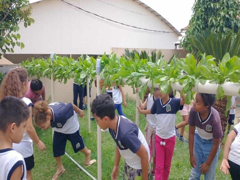 Projeto de horta hidropônica em escola de Votuporanga