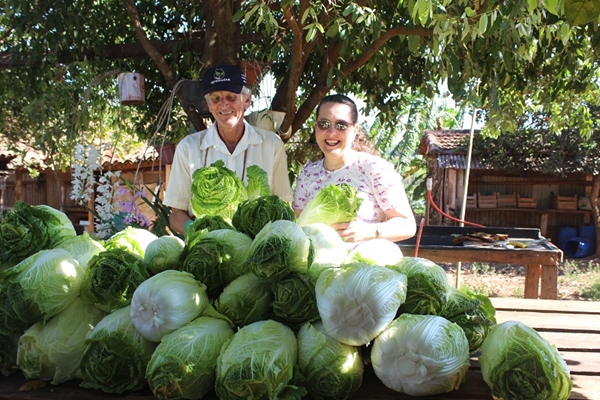 AMÉRICO DE CAMPOS: produtor doa 200 kg de verdura pra Santa Casa