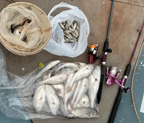 Polícia Ambiental multa pescadores na piracema