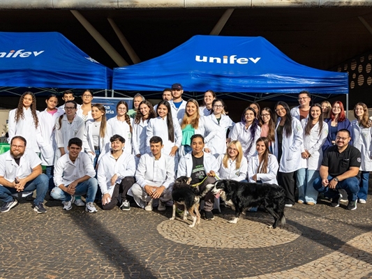 Feira de adoção de pets na 