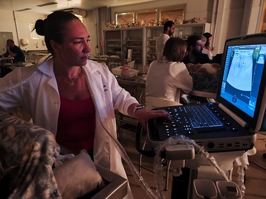 Unifev: curso de Ultrassonografia Abdominal em animais