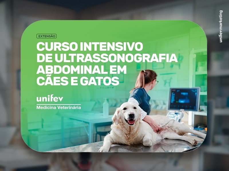 Unifev: Ultrassonografia Abdominal em cães e gatos
