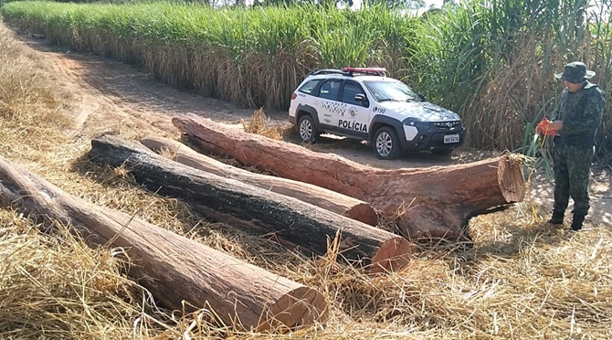 Polícia Ambiental flagra degradação em Nhandeara