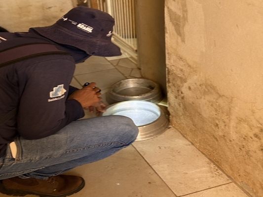 Mutirão contra a dengue mobiliza Jardim Marin
