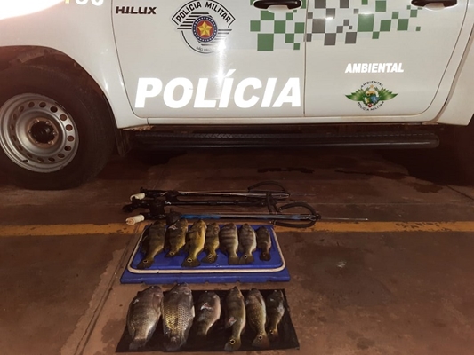 Ambiental pega caçadores de peixes em Cardoso