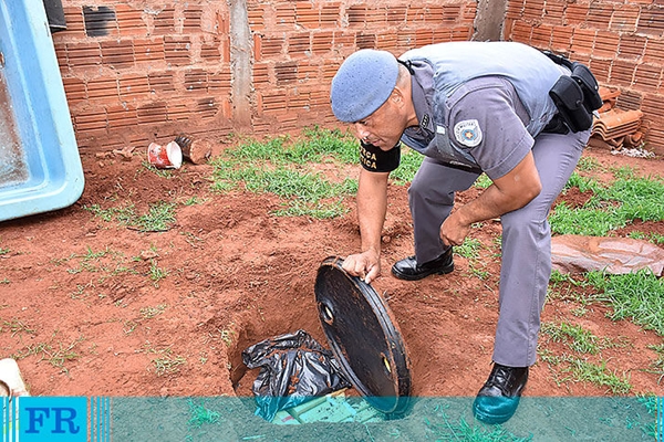 Polícia apreende 300 kg de maconha enterrados em quintal 