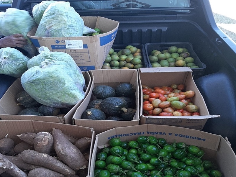 Prefeitura vai comprar alimentos de agricultores familiares 