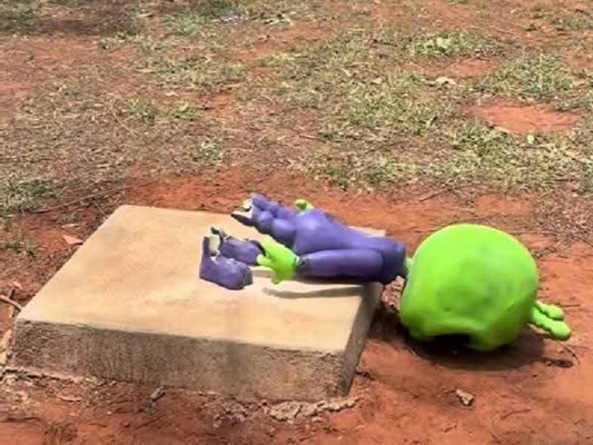 Prefeito reclama da destruição de ETs em praça de Riolândia 