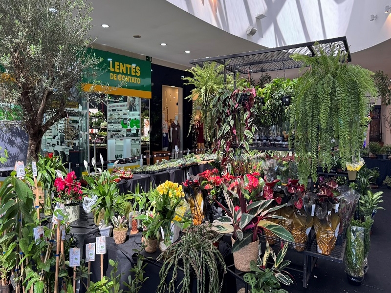 Exposição ‘Jardim Cidade Norte’ em Rio Preto