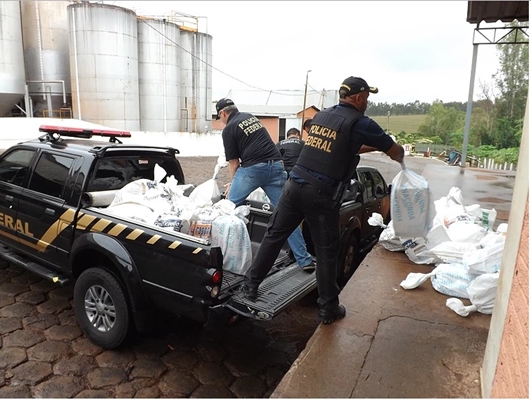 Polícia Federal de Jales destrói mais de uma tonelada de maconha