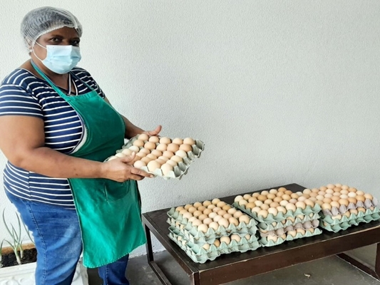 Produtor rural destina ovos para a Santa Casa
