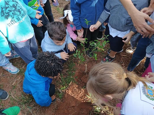 Saev promove plantio de mudas no Mês do Meio Ambiente
