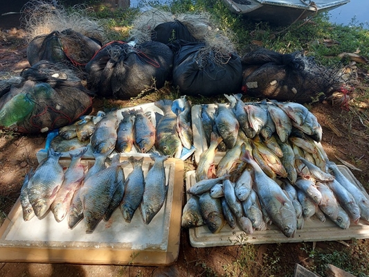Ambiental flagra 2 pescadores com 29 redes e 73 kg de peixes