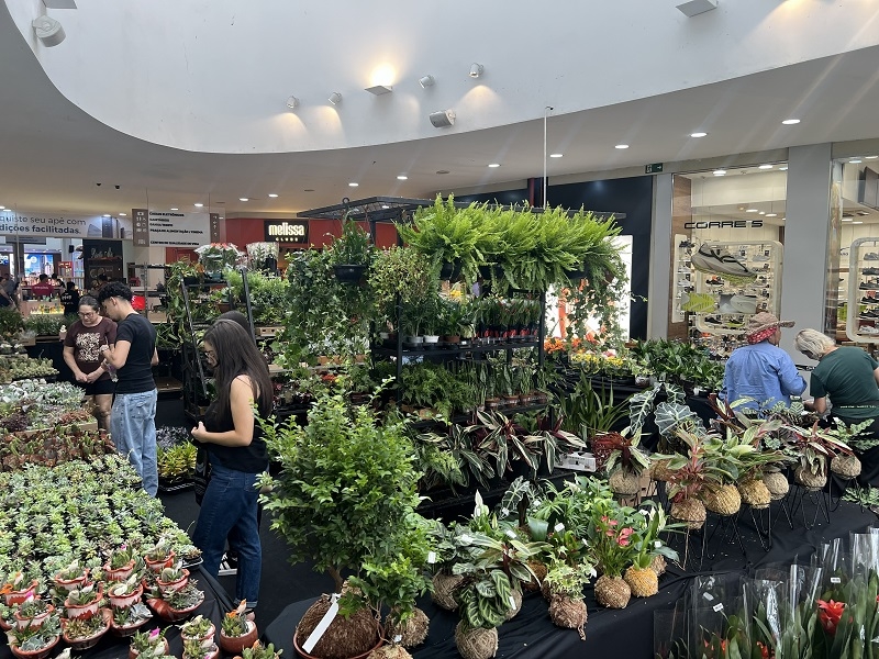 Exposição “Jardim Cidade Norte” no Shopping Cidade Norte 