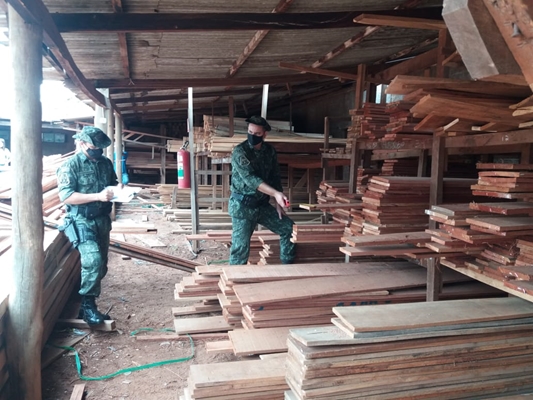 Madeireira de Votuporanga tinha madeira ilegal