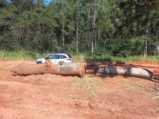 Polícia Ambiental faz 76 autos e aplica R$155 mil em multa