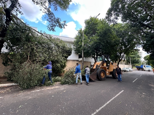 Após vendaval Prefeitura mobiliza equipes de limpeza