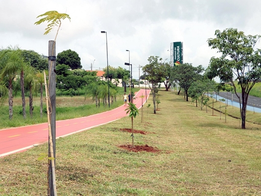 MEIO AMBIENTE: Votuporanga tem 75 mil novas árvores 