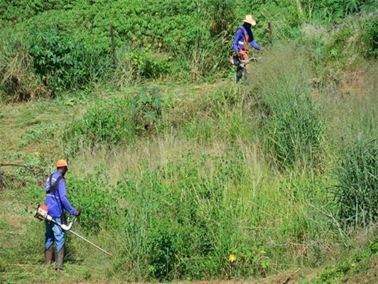 Fiscalização e limpeza de terrenos seguem até o dia 15 de dezembro