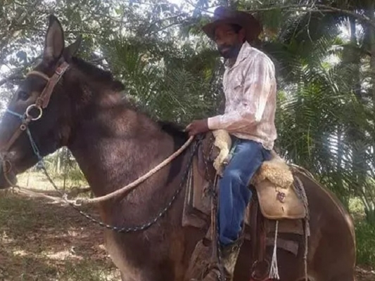 Trabalhador rural e cavalo morrem queimados