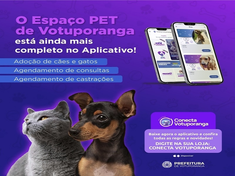 Prefeitura tem aplicativo para agendamento de veterinário e castrações