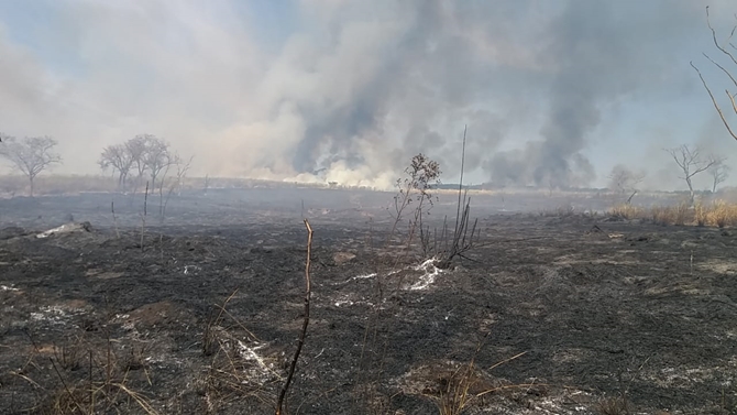 Fazendeiro é multado em mais de R$120 mil por queimada