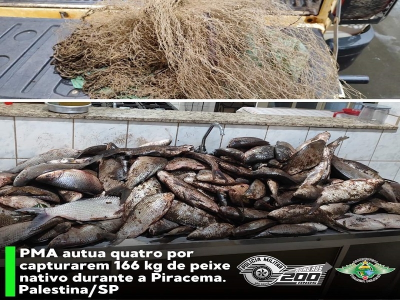 Pescadores são flagrados com 166 kg de peixes nativos