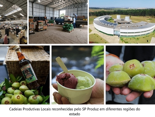 Programa SP Produz prorroga inscrições