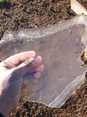 Água de bebedouros de animais congelou em Tanabi