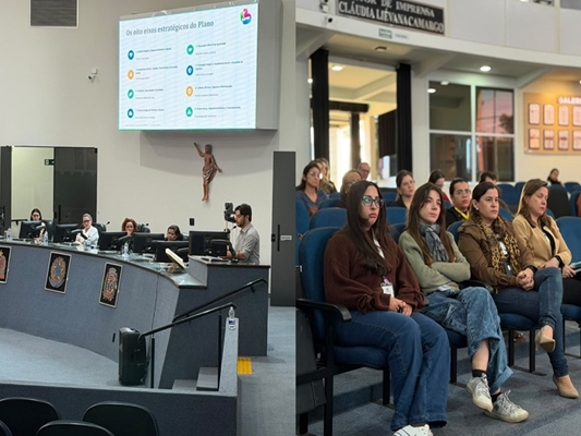 Audiência Pública apresenta Plano Municipal pela Primeira Infância 