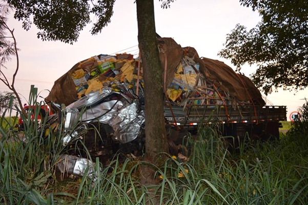 Motorista morre em colisão de caminhão contra árvore em rodovia 