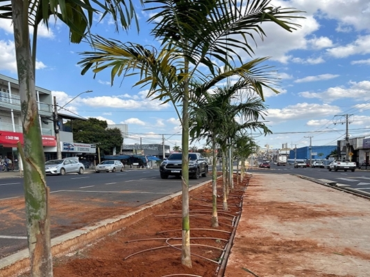Novo visual do Pozzobon